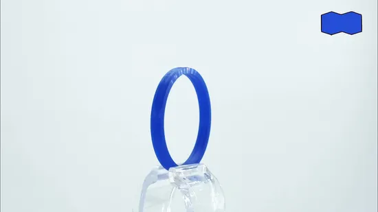 High-Performance Pneumatic Twin Lip Seal for O-Ring Replacement